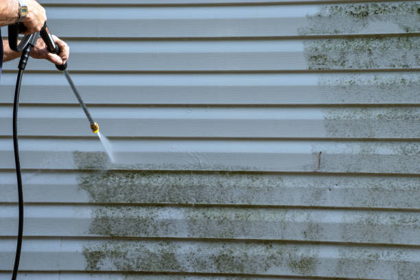 Best Aluminum Siding Installation  in Wise, VA